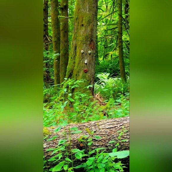 Meet your Posher, Ken - Picture 1 of 1